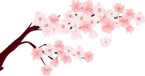 cherry cartoon character|cartoon cherry blossom background.